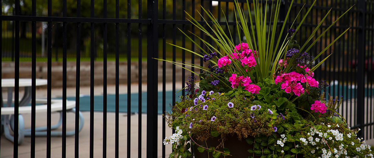 Beautiful Landscaping Next to Outdoor Pool at Salem Green Apartments in Inver Grove Heights, MN