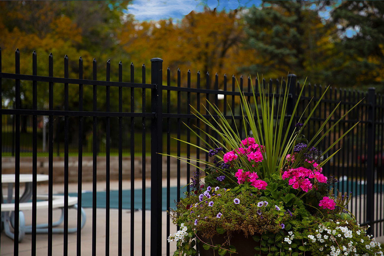 Beautiful Landscaping Next to Outdoor Pool at Salem Green Apartments in Inver Grove Heights, MN