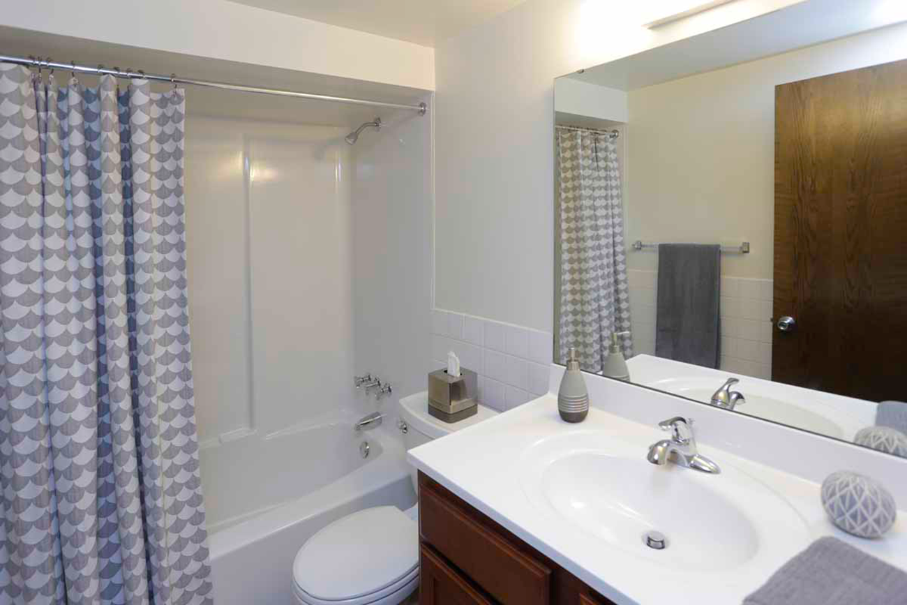 Newly Renovated Bathroom in 2 Bedroom Apartment in Inver Grove Heights, MN
