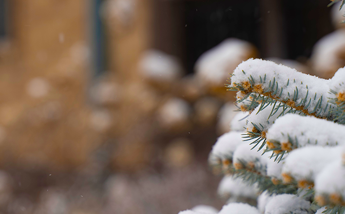 Scenic Winter Views of Apartments in Inver Grove Heights