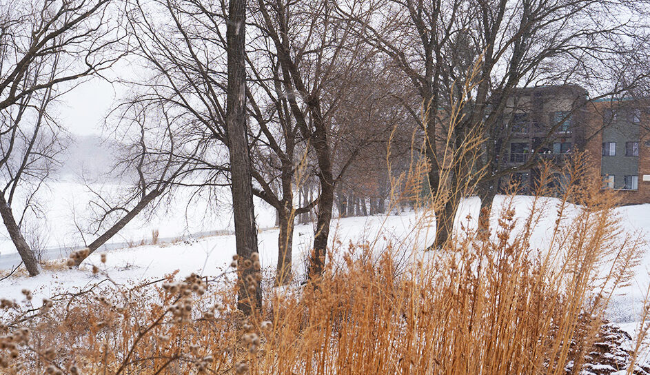 Scenic Winter Views of Lake Next to Apartments for Rent in Inver Grove Heights