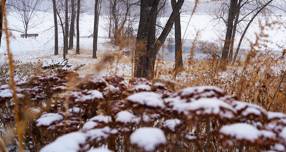 Scenic Winter Views of Lake Next to Apartments in Inver Grove Heights, MN